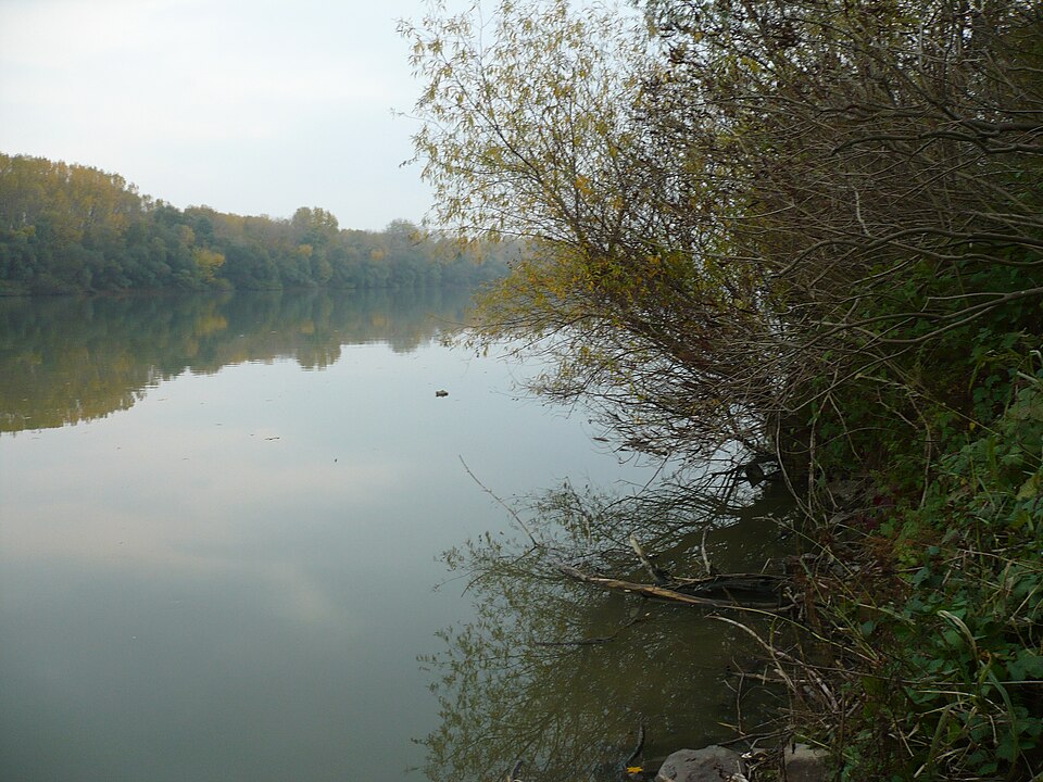 Tisza a Vajdaságban